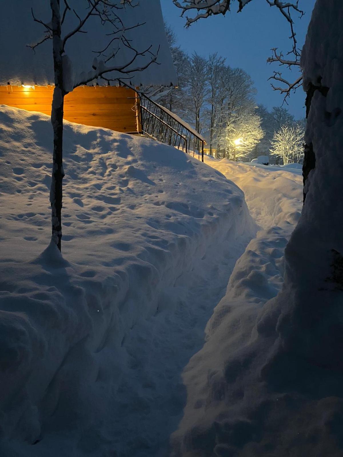 Vila Sun Forest Žabljak エクステリア 写真