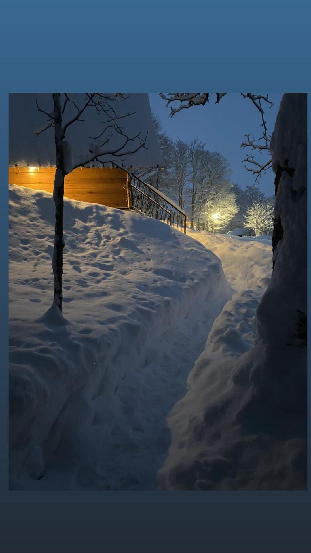 Vila Sun Forest Žabljak エクステリア 写真