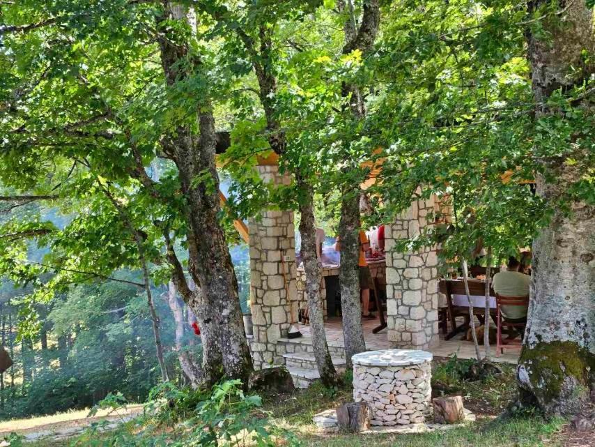 Vila Sun Forest Žabljak エクステリア 写真